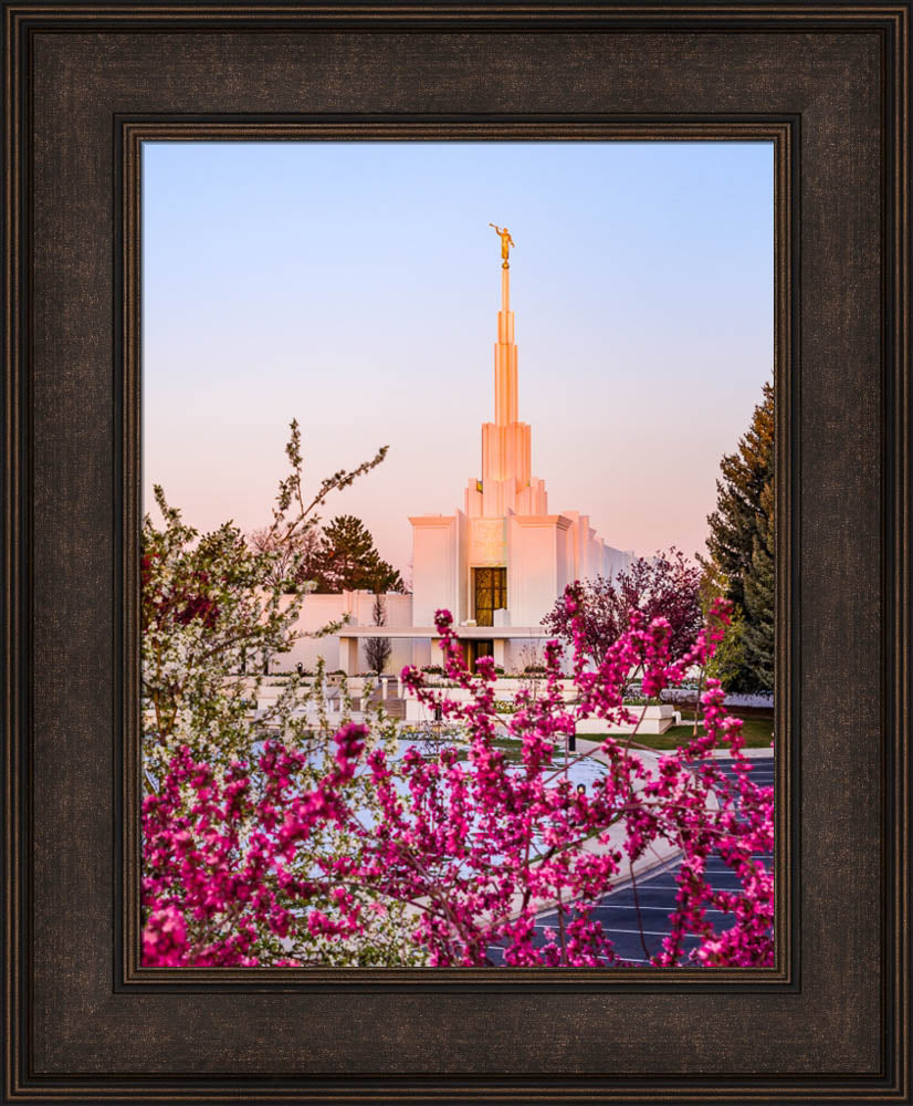 Denver Temple - Spring Sunrise