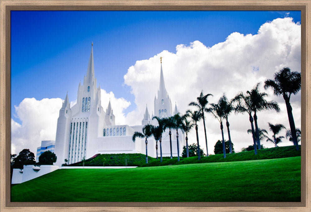 San Diego Temple - Summer Palms