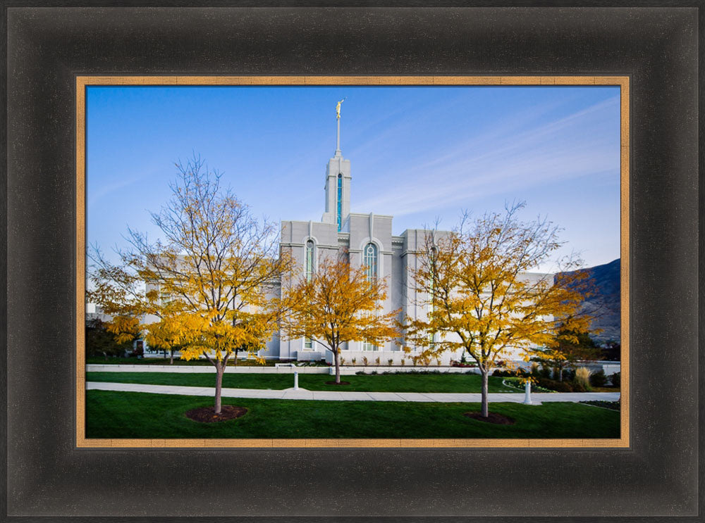 Mt Timpanogos Temple - Fall Trees
