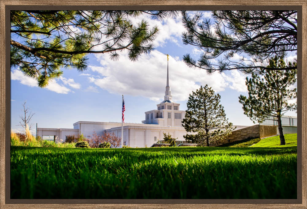 Billings Temple - Through Trees