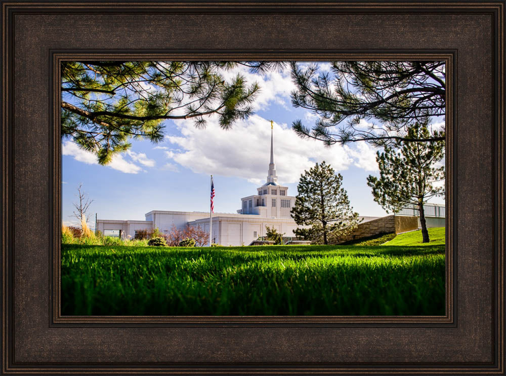 Billings Temple - Through Trees