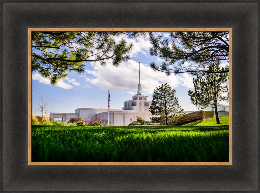 Billings Temple - Through Trees