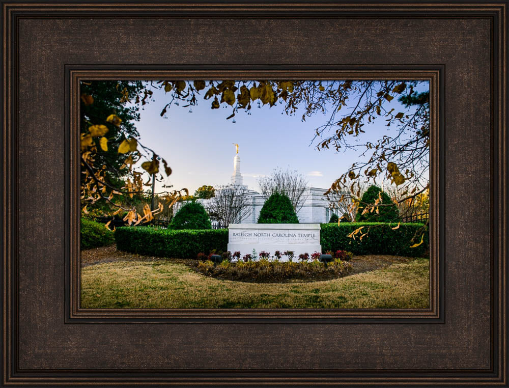 Raleigh Temple - Through the Leaves