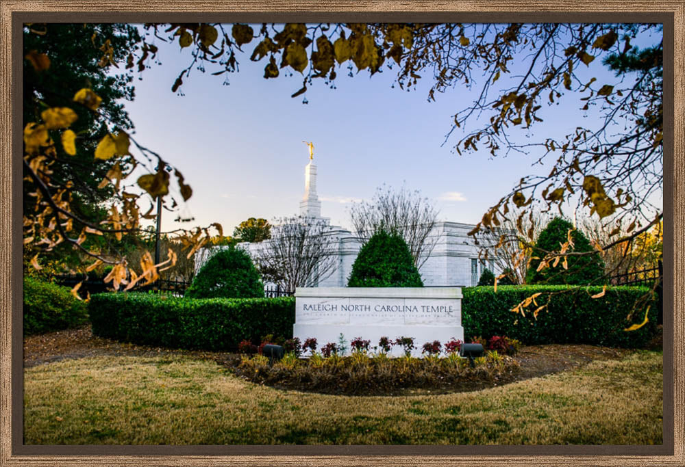 Raleigh Temple - Through the Leaves