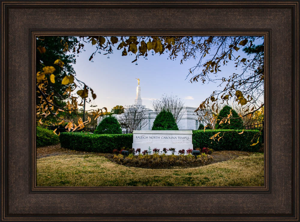 Raleigh Temple - Through the Leaves