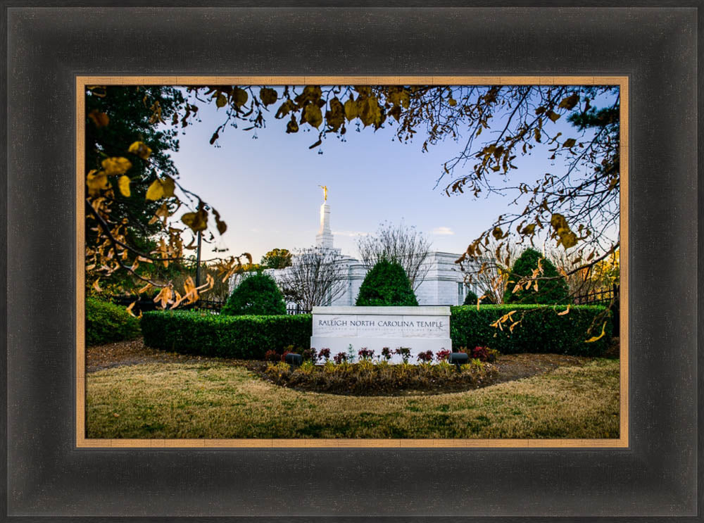 Raleigh Temple - Through the Leaves