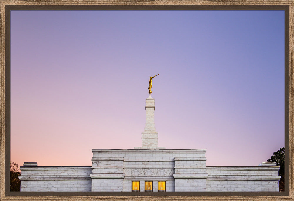 Raleigh Temple - Pink and Purple