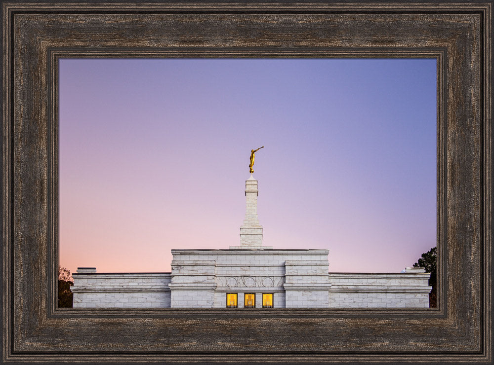 Raleigh Temple - Pink and Purple