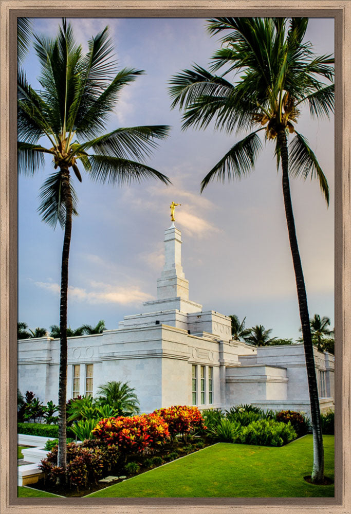 Kona Temple - Palm Trees