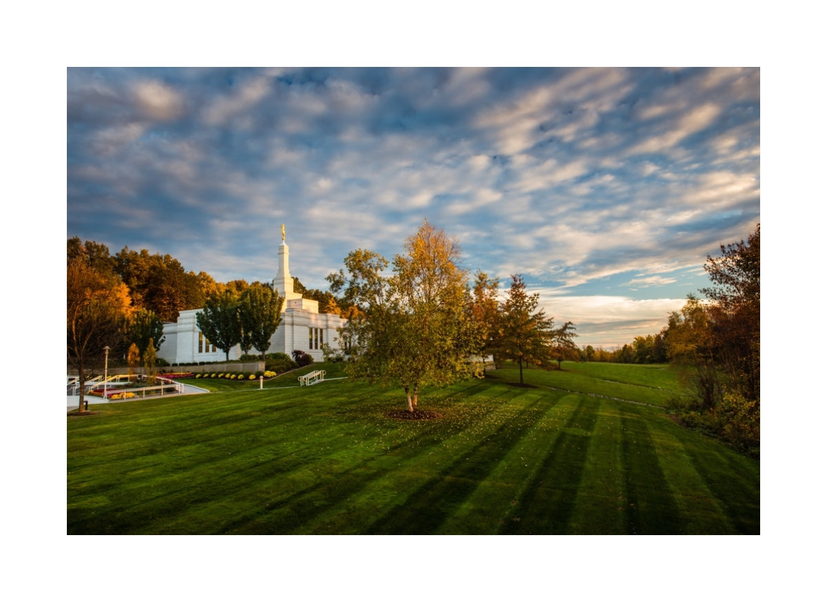 Palmyra Temple - From on High