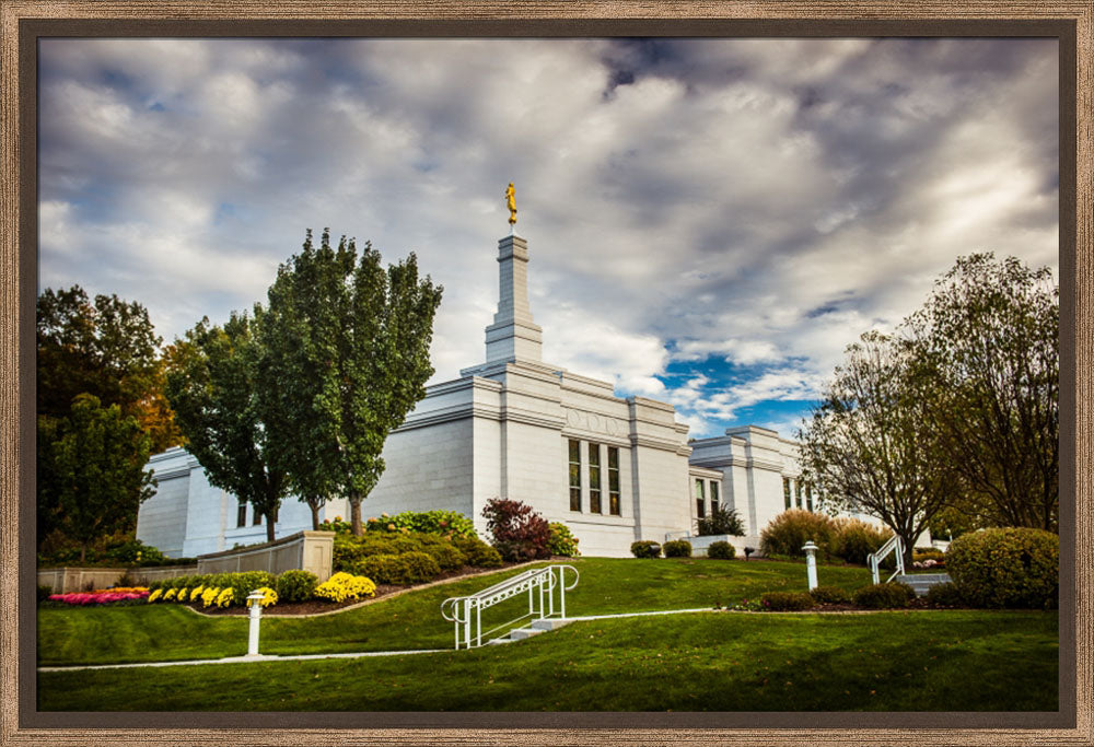 Palmyra Temple - Patch of Blue