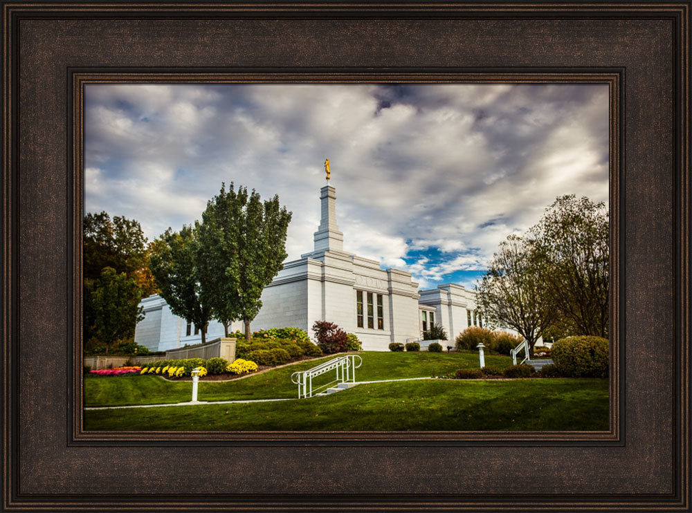 Palmyra Temple - Patch of Blue