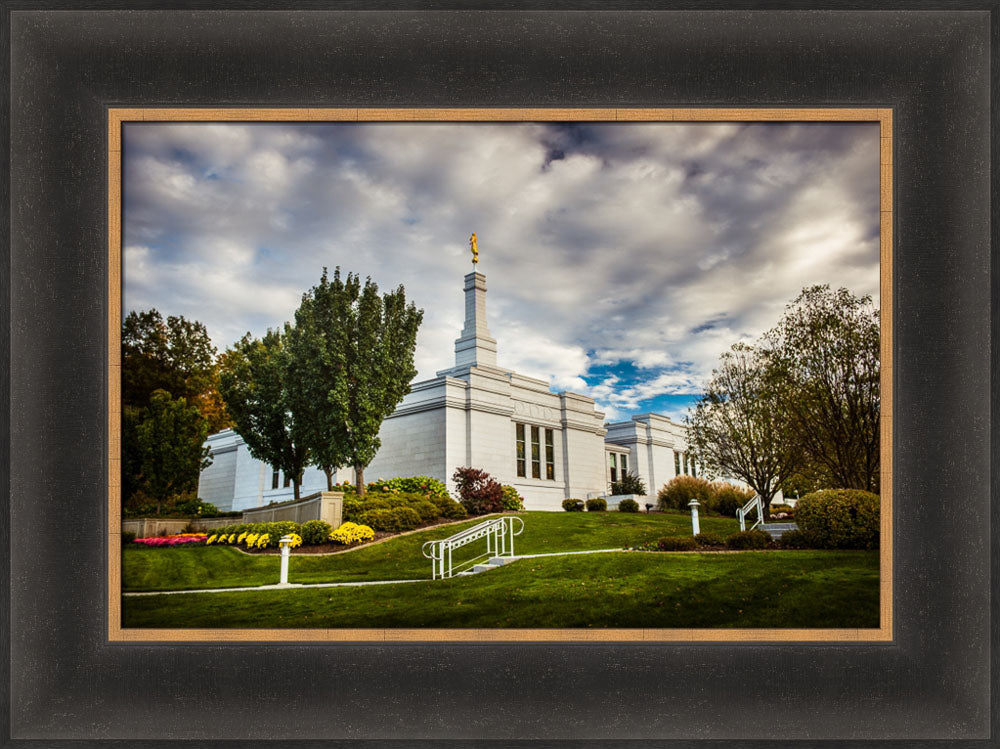 Palmyra Temple - Patch of Blue
