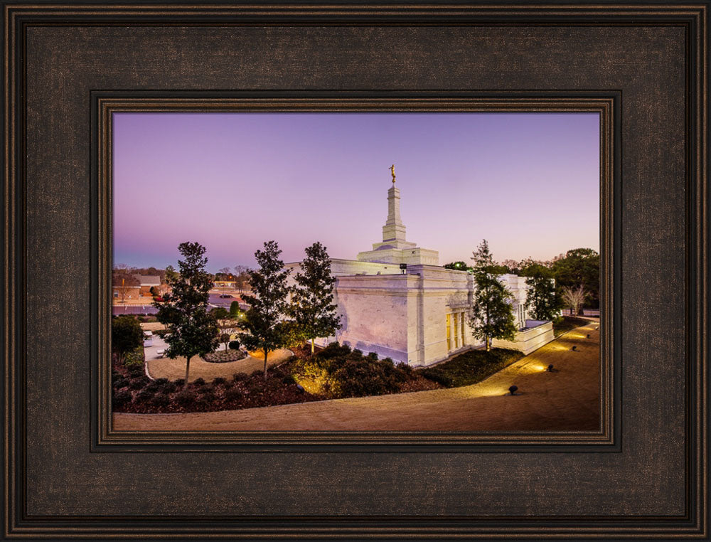 Birmingham Temple - Back Hill View