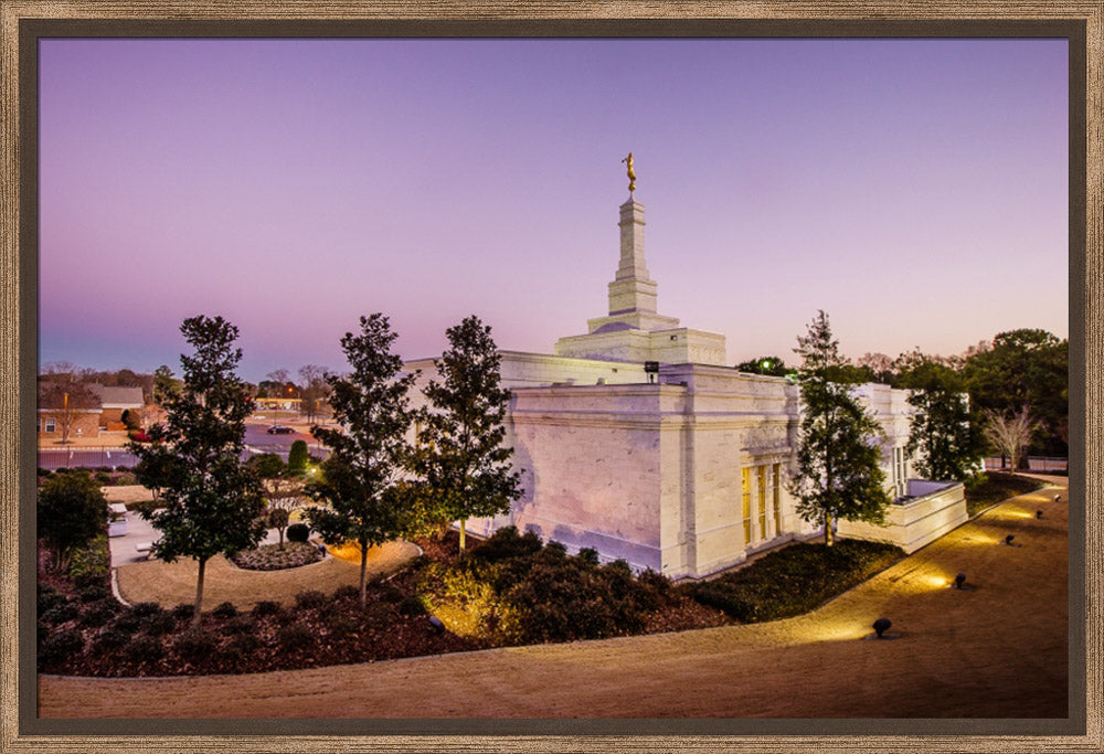 Birmingham Temple - Back Hill View