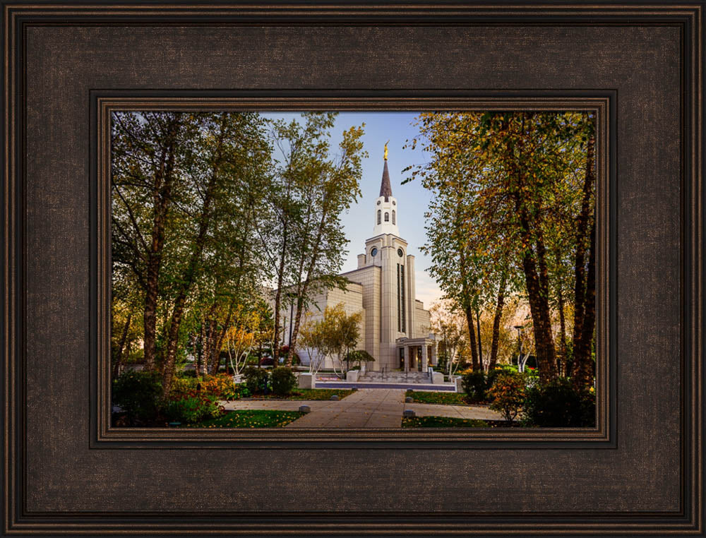 Boston Temple - Through the Trees