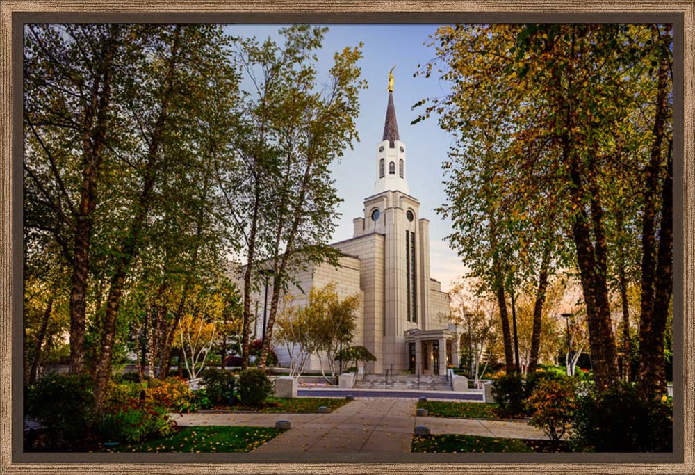Boston Temple - Through the Trees