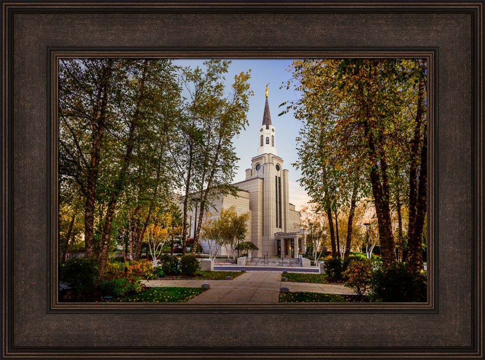 Boston Temple - Through the Trees