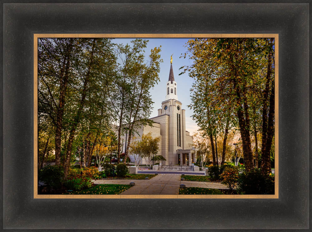 Boston Temple - Through the Trees