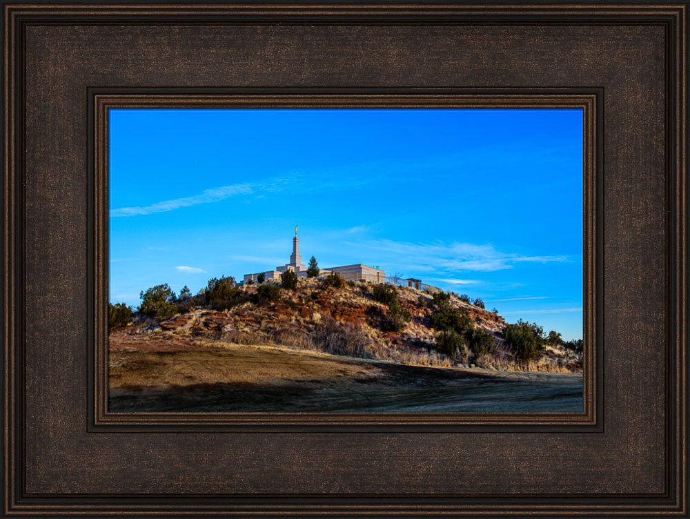 Snowflake Temple - On the Hill