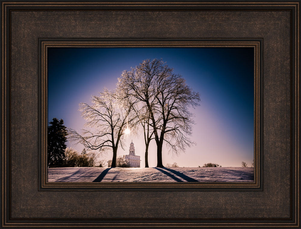 Nauvoo Temple - After an Ice Storm