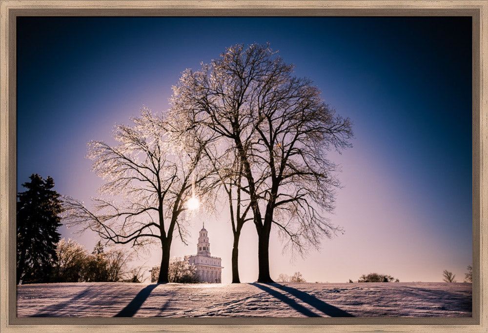 Nauvoo Temple - After an Ice Storm