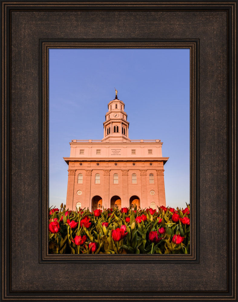 Nauvoo Temple - Tulips