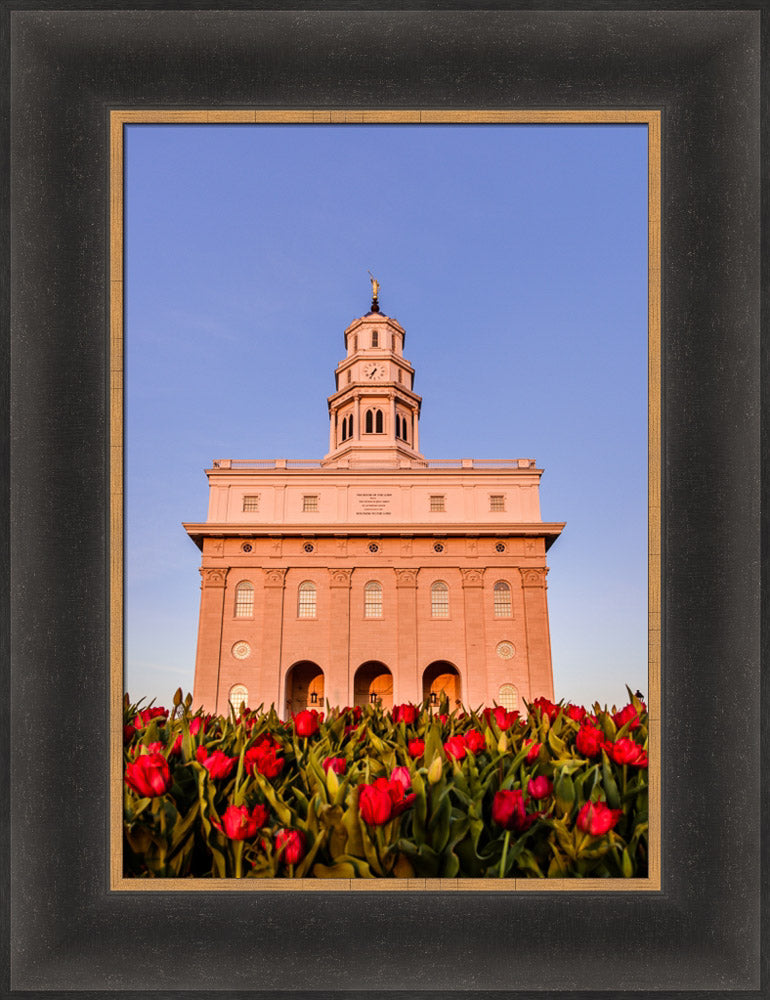 Nauvoo Temple - Tulips