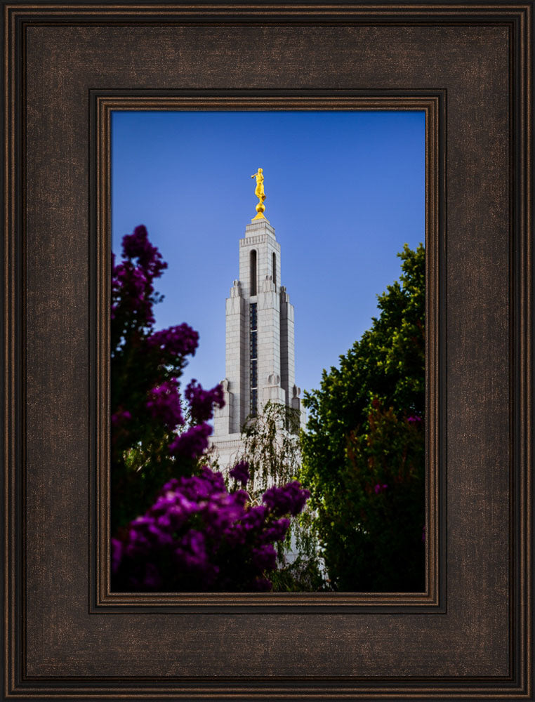 Redlands Temple - Spire
