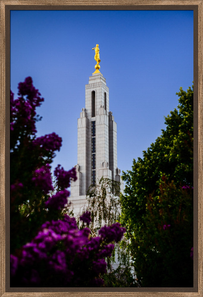 Redlands Temple - Spire