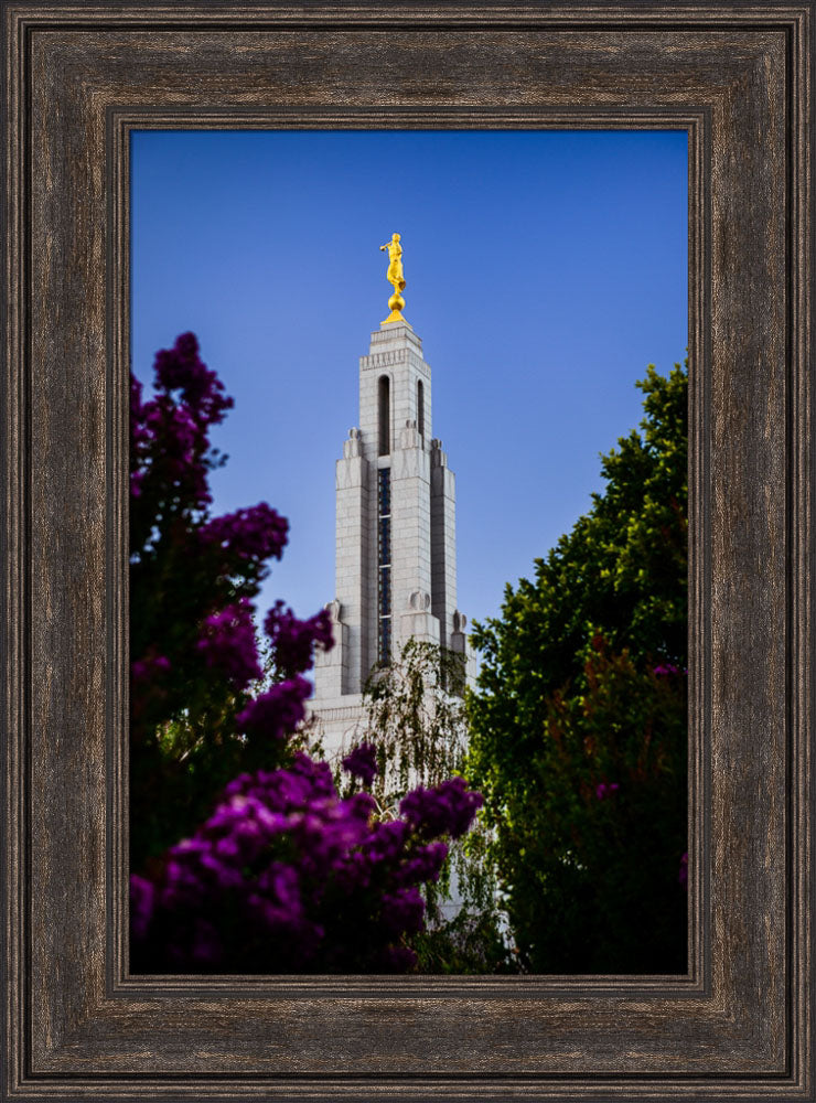Redlands Temple - Spire