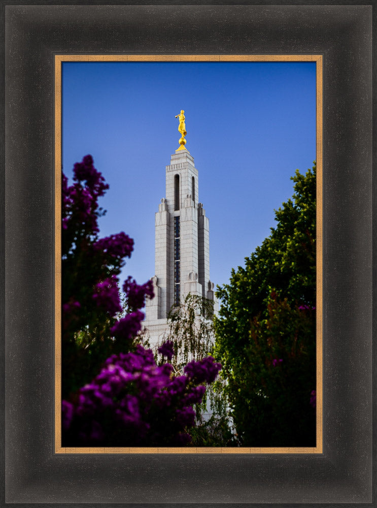 Redlands Temple - Spire