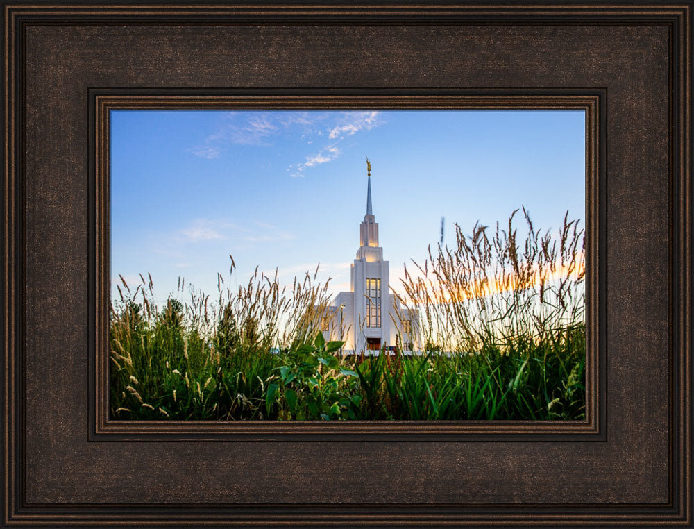 Twin Falls Temple - Harvest