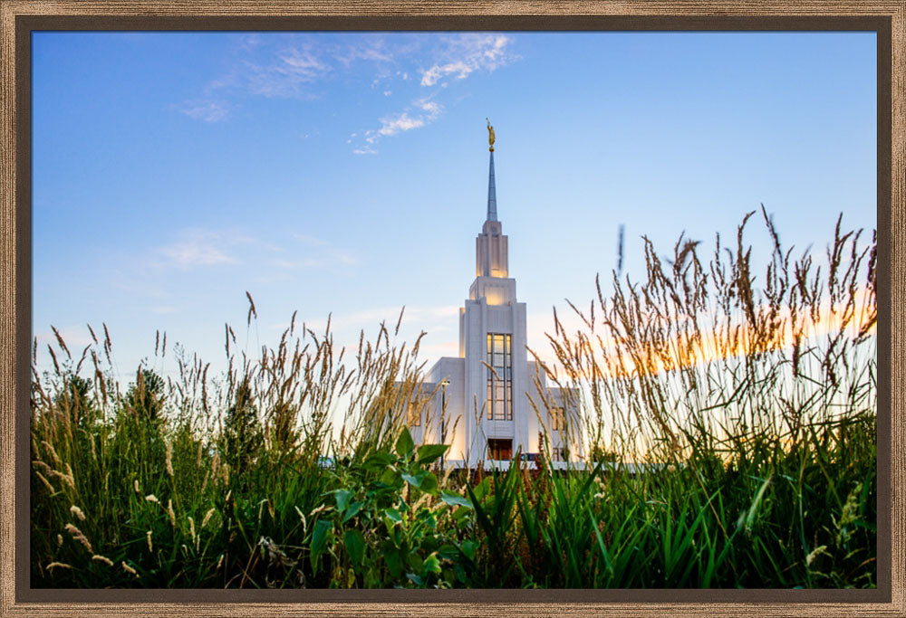Twin Falls Temple - Harvest