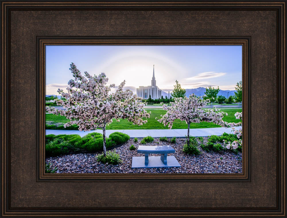 Oquirrh Mountain Temple - Flower Trees and Sun
