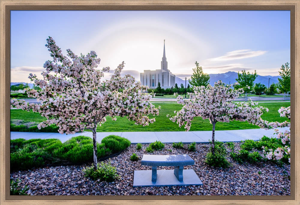 Oquirrh Mountain Temple - Flower Trees and Sun