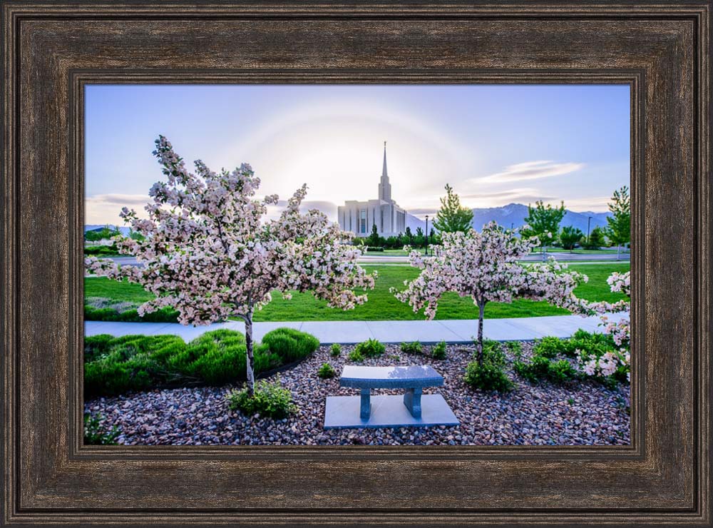 Oquirrh Mountain Temple - Flower Trees and Sun