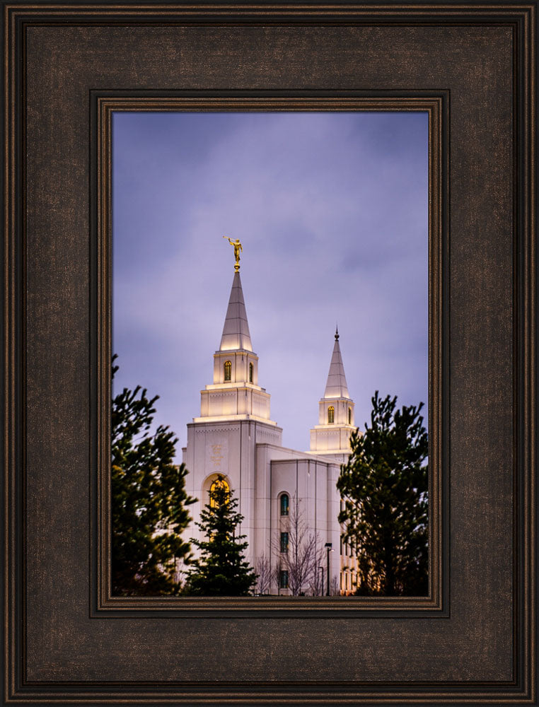 Kansas City Temple - Through the Trees