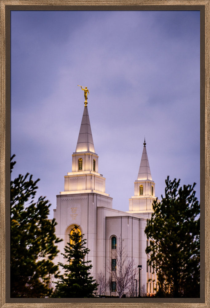 Kansas City Temple - Through the Trees