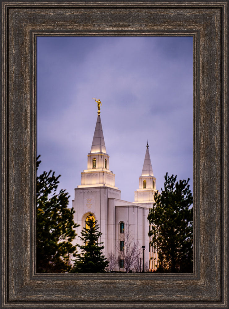 Kansas City Temple - Through the Trees