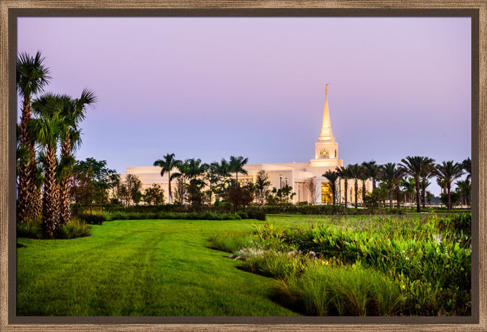 Fort Lauderdale Temple - Palm Trees