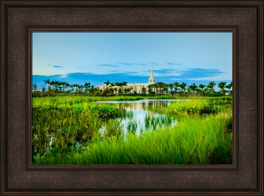 Fort Lauderdale Temple - Green Swamp