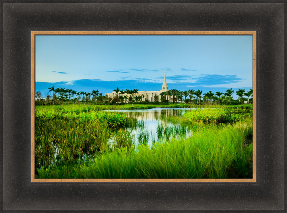 Fort Lauderdale Temple - Green Swamp