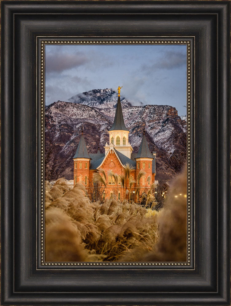 Provo City Center Temple - Fall Reeds