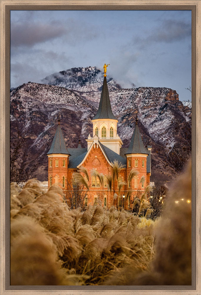 Provo City Center Temple - Fall Reeds