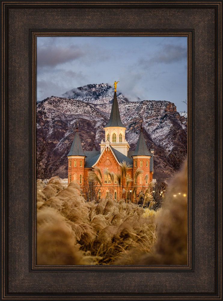 Provo City Center Temple - Fall Reeds