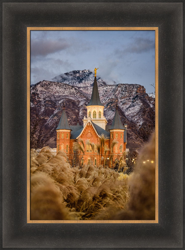 Provo City Center Temple - Fall Reeds