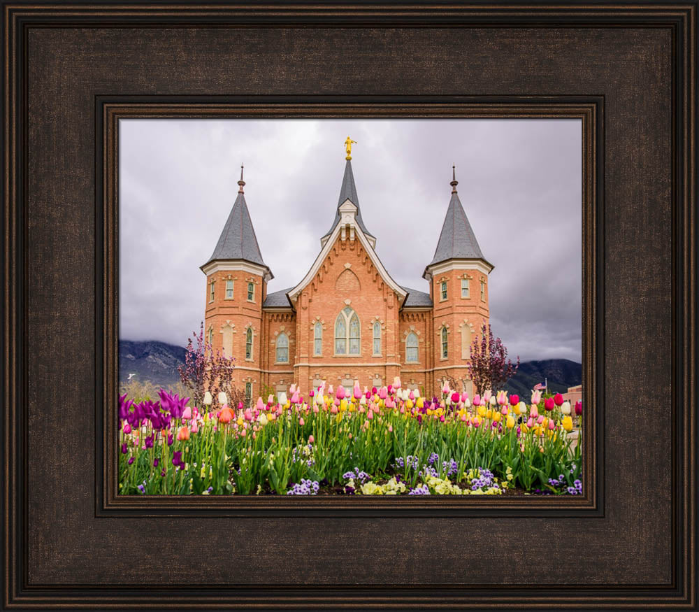 Provo City Center Temple - Springtime Tulips