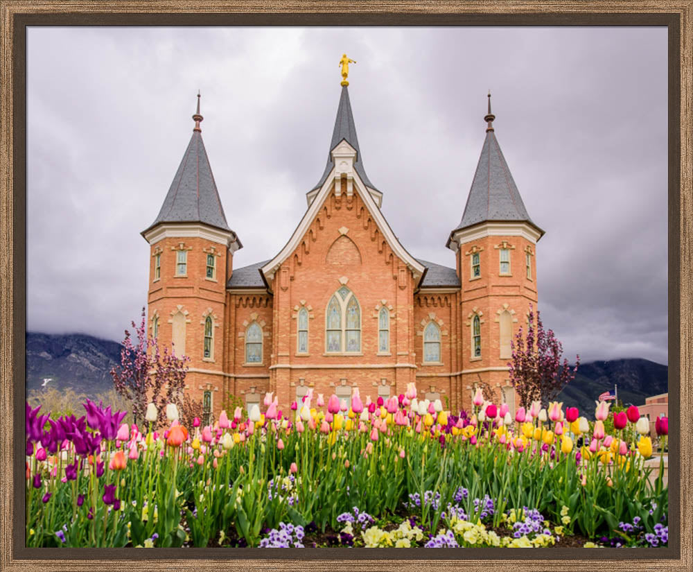 Provo City Center Temple - Springtime Tulips