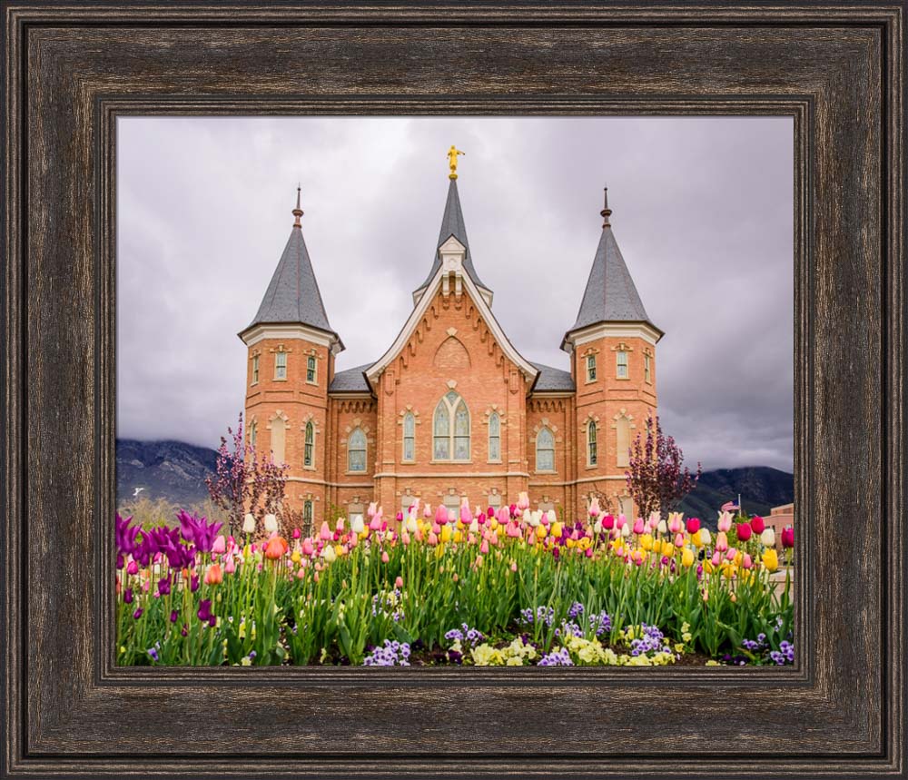 Provo City Center Temple - Springtime Tulips
